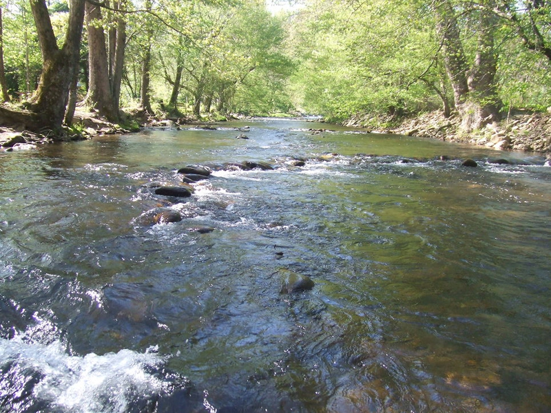 ESOPUS CREEK FISHING